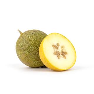 Melone Galia