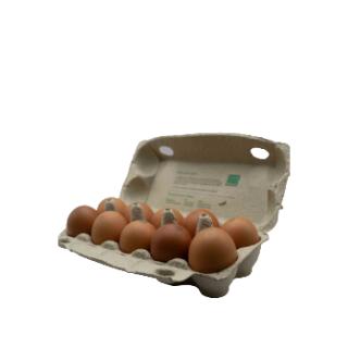 Bio-Eier 10er Set