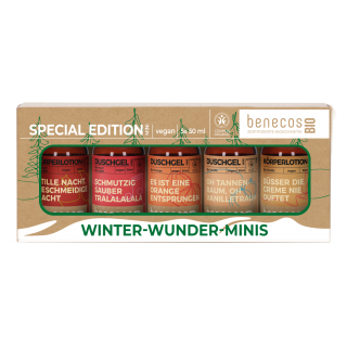Geschenkset Winter Wunder Minis