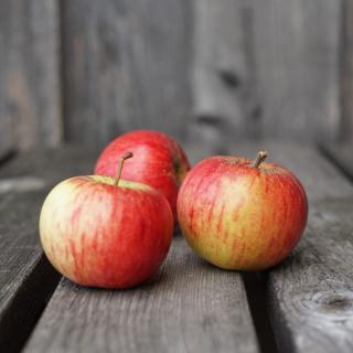 Apfel Rubinola