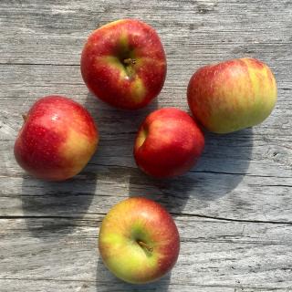 Apfel Natyra