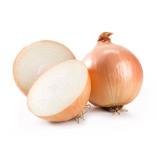 Zwiebel neue Ernte