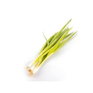 Lauchzwiebel