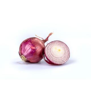 Zwiebel rot