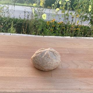 Weizenbrötchen